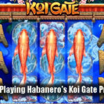 Benefits of Playing Habanero's Koi Gate Provider Slot
