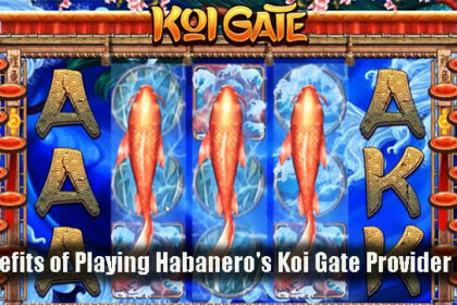 Benefits of Playing Habanero's Koi Gate Provider Slot